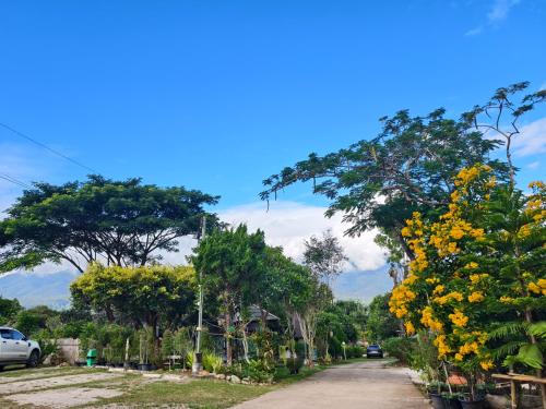 Pai Seview & Tewdoi ปายซีวิว ทิวดอย