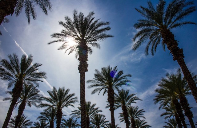 Palm Springs RV Resort