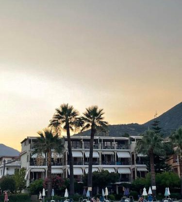 Palm Trees Hotel