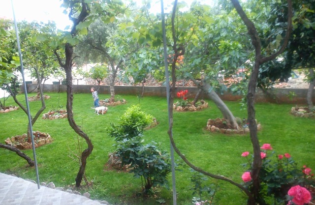 Pansion Ivan, Sućuraj