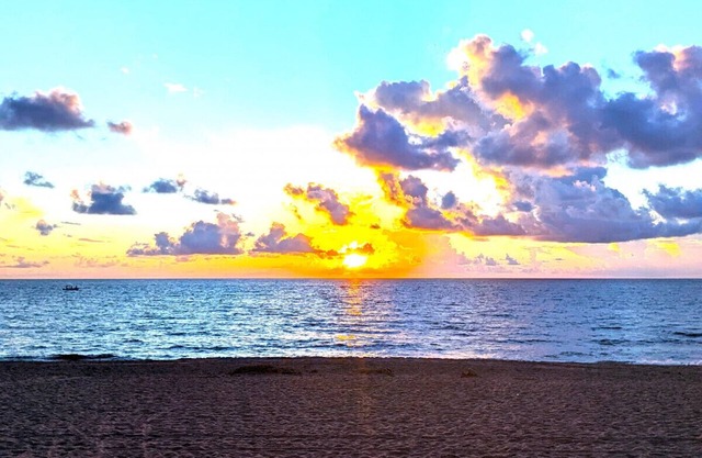 Paradise Awaits! Beach, King Bed, Yard & Workspace