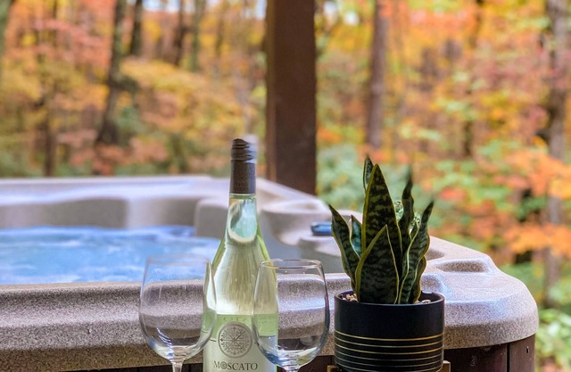 Paradise Escape: Minutes from Blue Ridge, Hot-Tub, 100+ 5-star Reviews!
