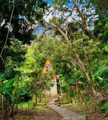 Paradise of Atitlan
