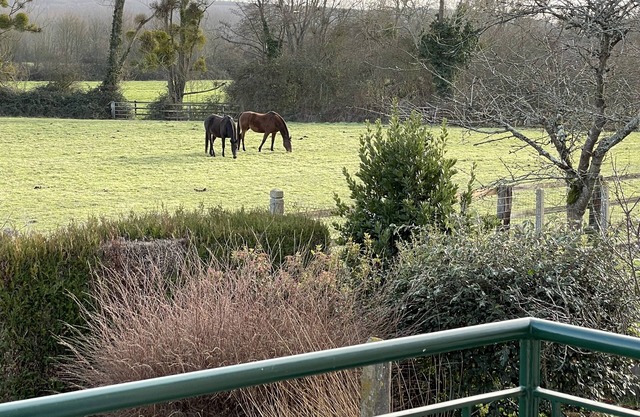 Parc du PERCHE Orne -maison indépendante 4 personnes au cœur d'un village vivant