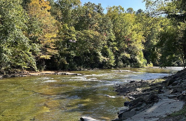 Parsons Riverside Retreat: Steps away from a rolling mountain stream and trails