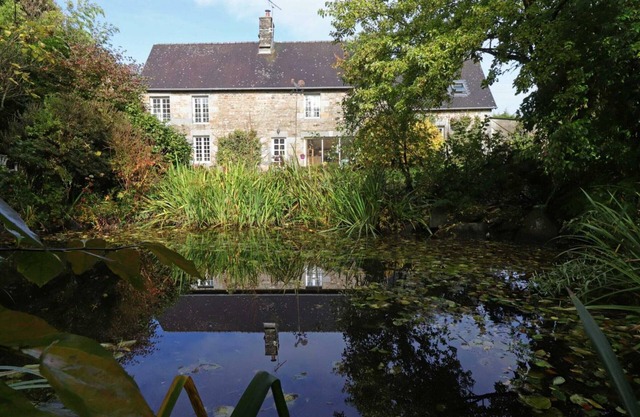 Peaceful house in nature with pets allowed