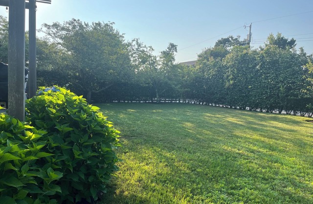 Peaceful and Cozy on Nantucket
