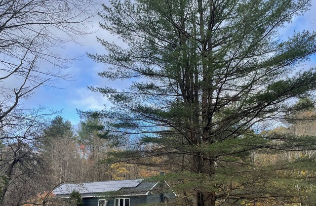 Peaceful modern retreat with woods and fire-pit 🌲 🌲 Family friendly 🌲 🌲