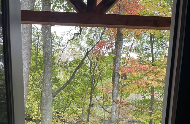 Peaceful Primitive Riverfront Cabin. Pet Friendly