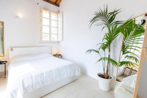 Penthouse with Terrace in historic centre