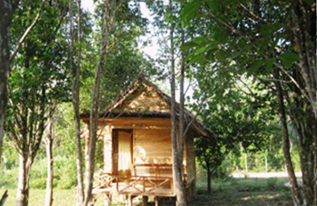 Pepper Farm Phu Quoc Bungalow