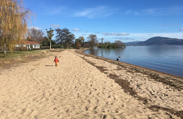 Perfect kiwi bach on Rotorua lake edge