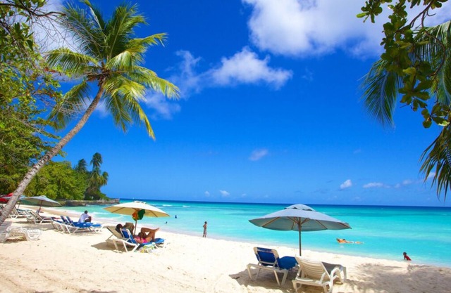 Perfect Locale for Nature Lovers! 2 Suites w/ FREE Parking Near Coco Hill Forest