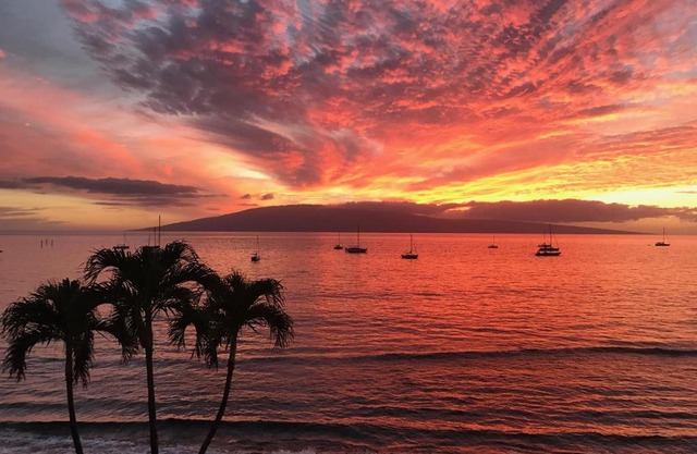 Perfect location & Unbelievable Views at Lahaina Roads