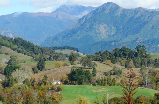 Perfect, Tranquil Rural Escape - Couples, Families & Pets