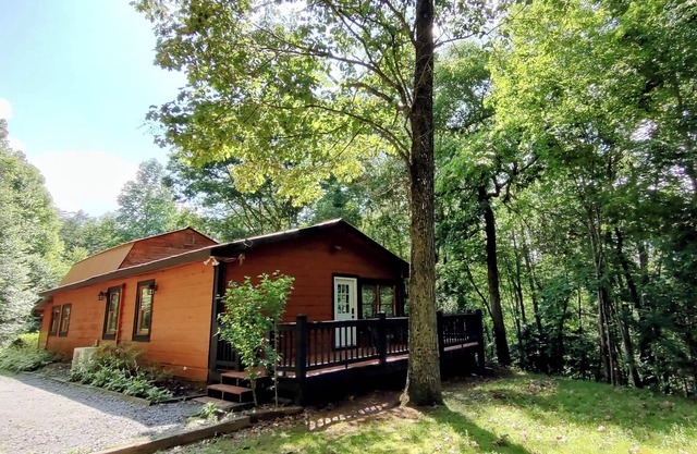 Perfectly Imperfect Cabin, in forest near Blue Ridge. Relax and enjoy nature.