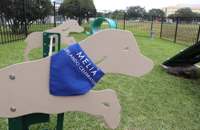 Pet-Friendly 2-Bedroom Pool View Apt. near Disney