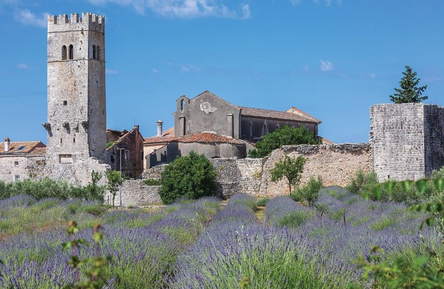 Pet friendly apartment in Sv.Lovrec with WiFi