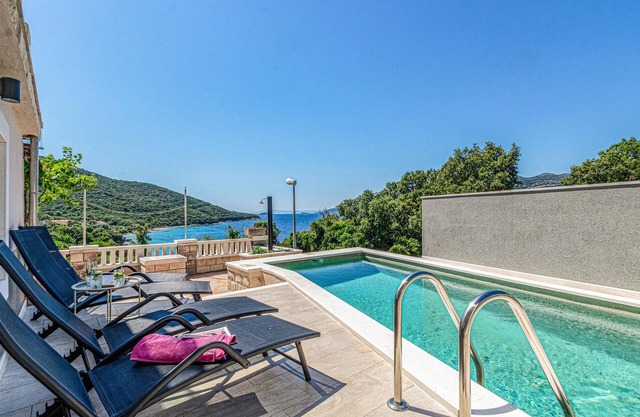 Pet friendly apartment in Zrnovo