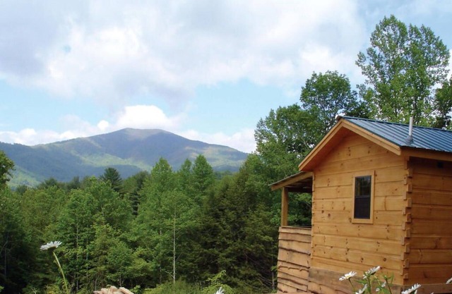 Pet-Friendly Mountain Log Cabin for Couples