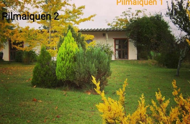 Pilmaiquen