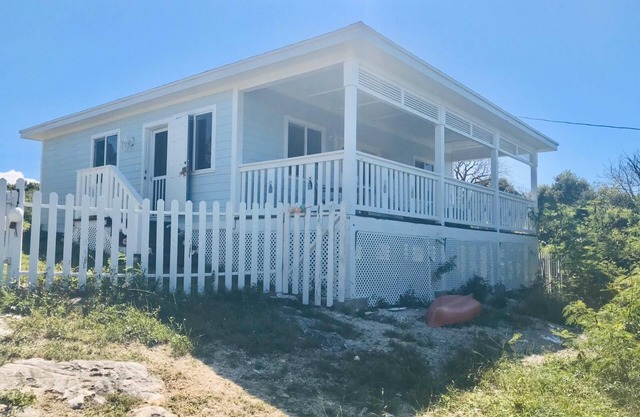 Pineapple Blues.Big Bang for your Buck