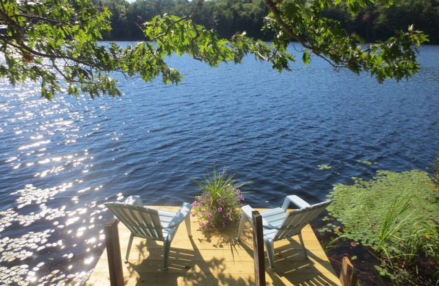 Pinetree Suite- located on the Lake, surrounded by pine trees.PERFECT