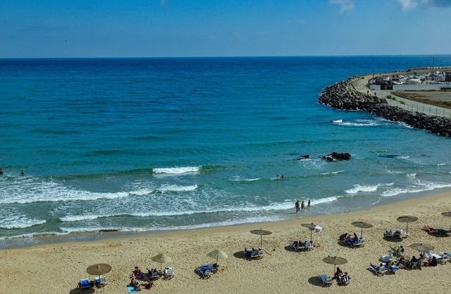 Playa Del Pacha Suites Hotel