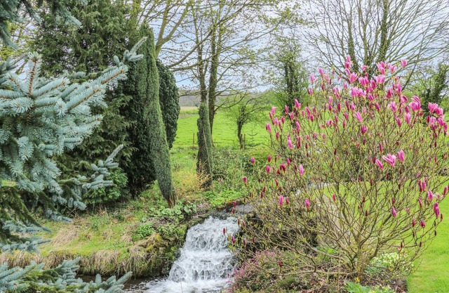 Pond View