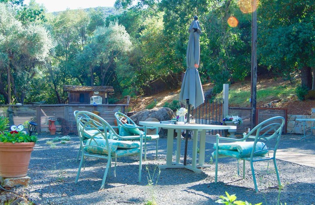 Poolside comfort by the lake. Your ideal cottage Retreat!