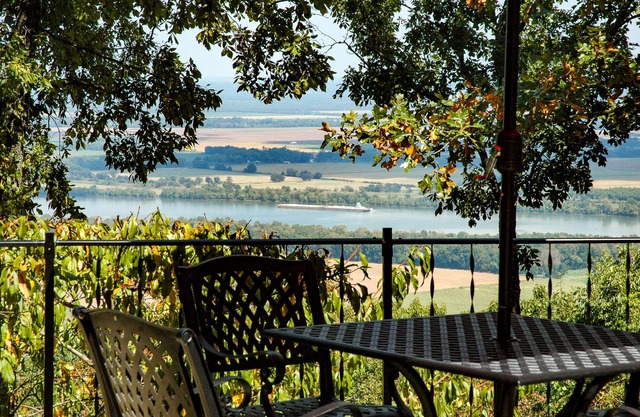 Private and Secluded! Enjoy the stunning view and wooded surrounding.