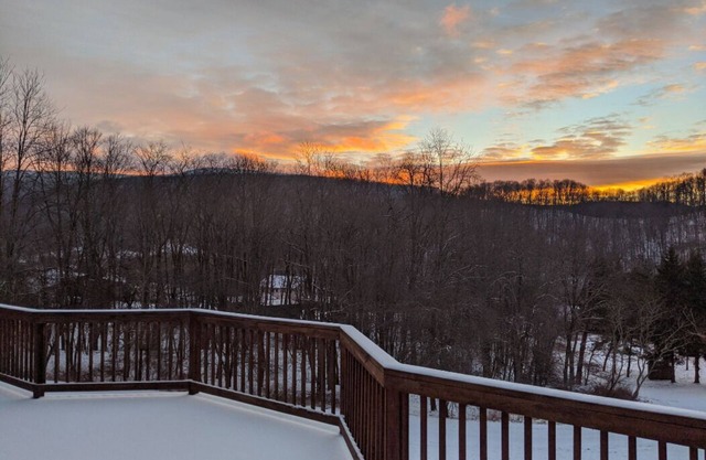 Private and Serene Snowshoe Family Chalet!