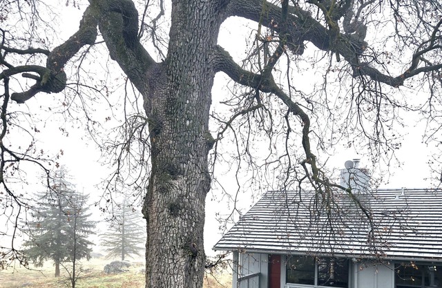 Private cottage quiet & peaceful 2-bedroom