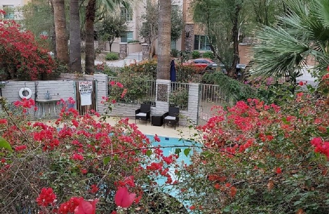 Private One Bedroom Hideaway in the Heart of Scottsdale