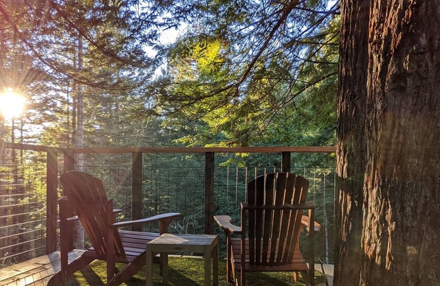 Private Redwood Forest Cottage+Treehouse Terrace