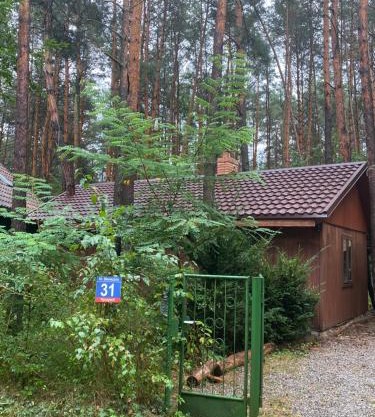 Przytulny domek w lesie blisko rzeki