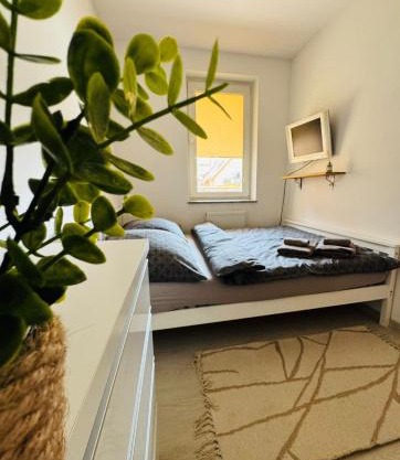 Pulsar Apartments