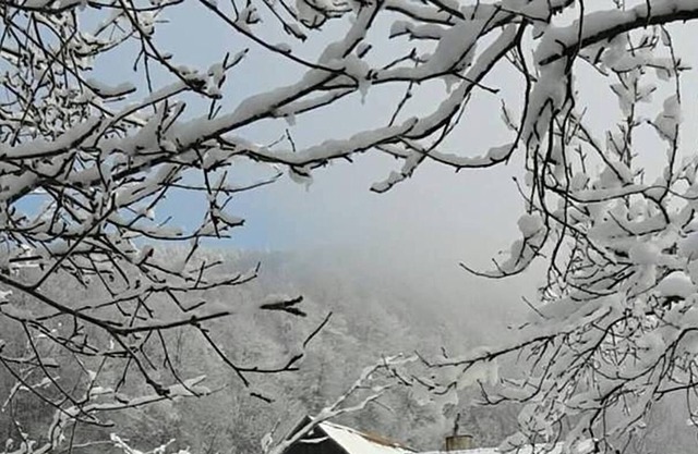 Pure Poland, relax and enjoy stress-free in the magical
