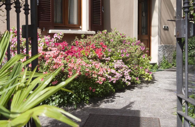 QUIET AND CHARMING FLAT IN VILLA WITH GARDEN