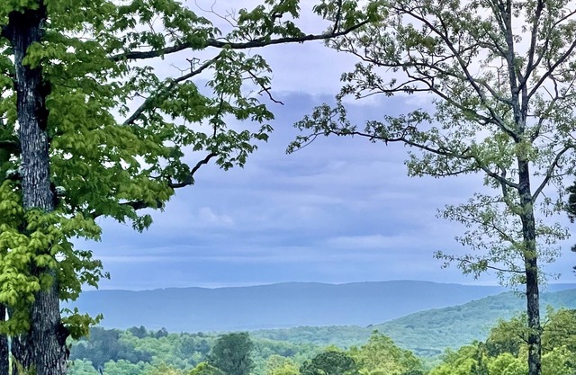 Quiet and secluded modern farmhouse 15 miles from the Buffalo River.