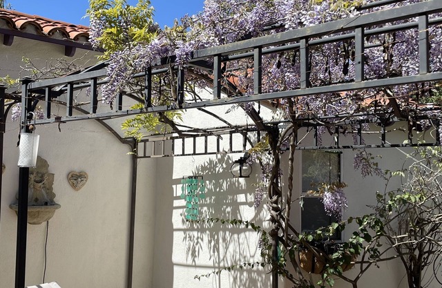 Quiet Casita in natural setting 10 minutes to SDSU