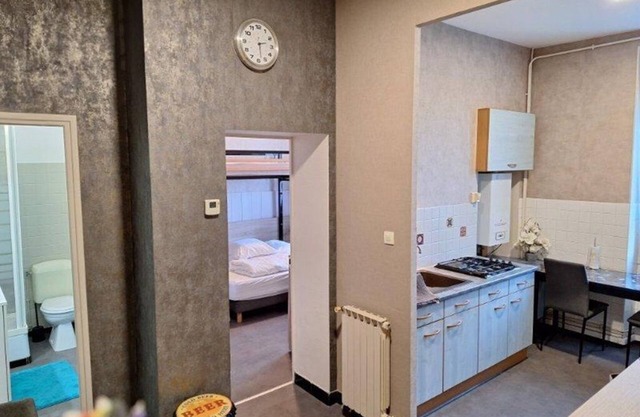 Quiet, comfortable T2 apartment - close to amenities, businesses and Parc des Combes