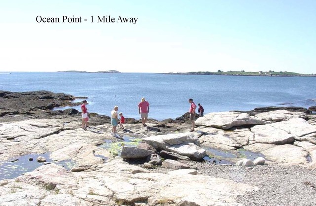 Quiet family and pet friendly home