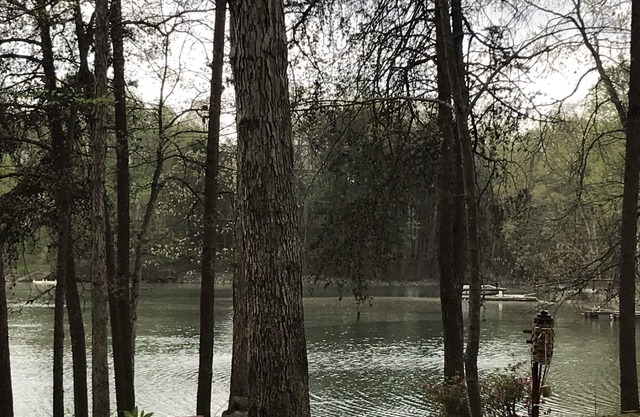 Quiet Private Rural Lakefront Home On Lake Norman