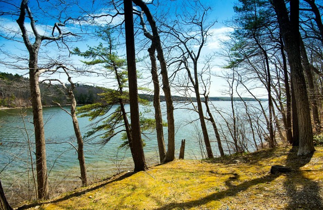 Quiet Riverfront getaway to enjoy Midcoast Maine!