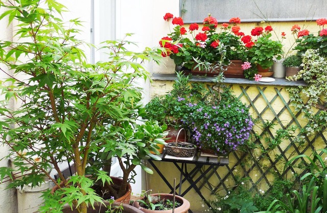 Quiet studio on courtyard Paris 14th near Montparnasse, 25 m2