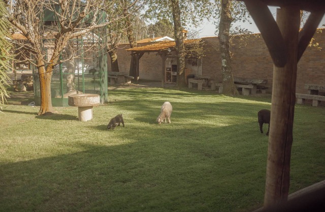Quinta Verde Esperança - Casa do Sobreiro