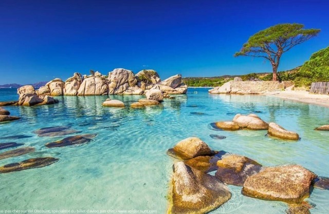 Résidence Acqua Linda