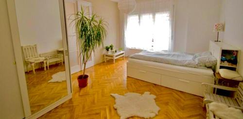 Radnóti hipster design flat