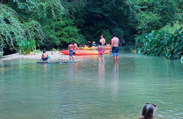 Rare Find! New waterfront Cabin with kayaking, hiking, pools & hot tub! SG25